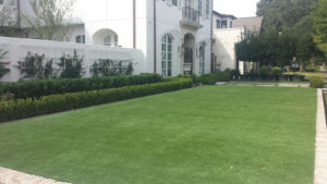 front lawn in synthetic grass turf